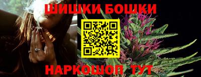 сатива Новокубанск