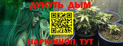 каннабис Новозыбков