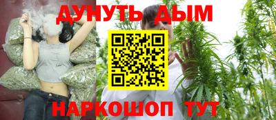 сатива Новокубанск